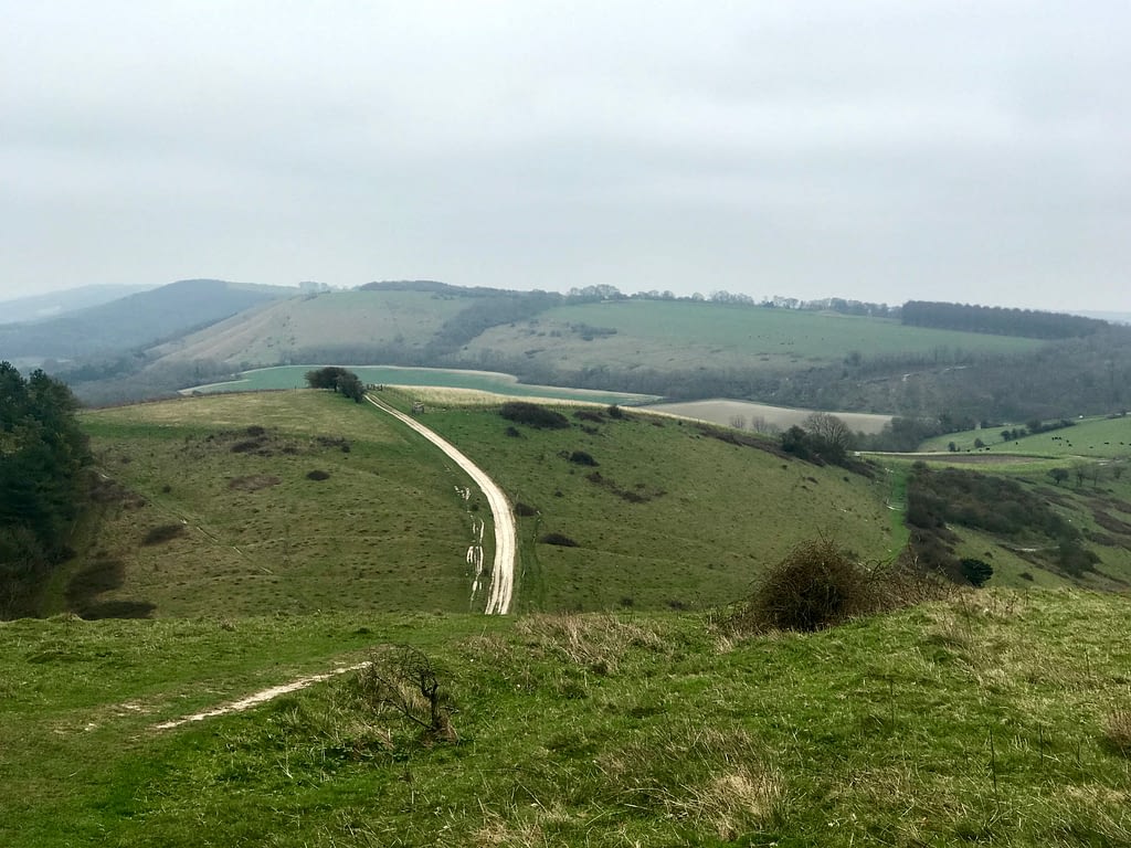 South Downs Way